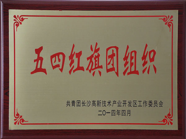 五四红旗团组织